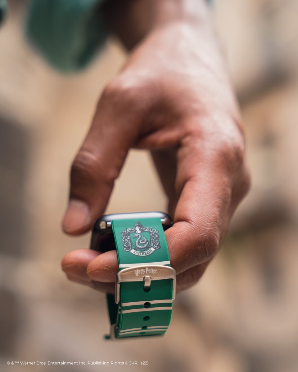 Goyard Coffret Montre Green 4 Watch Box
